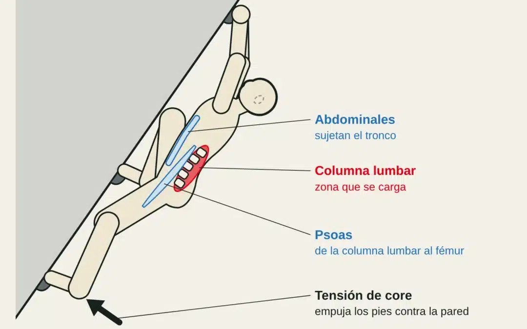 Vista lateral de un escalador en un desplome: abdominales y psoas mantienen los pies en la pared y la zona lumbar se carga.