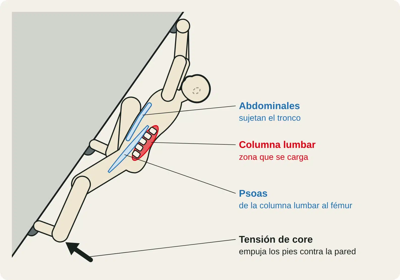 Vista lateral de un escalador en un desplome: abdominales y psoas mantienen los pies en la pared y la zona lumbar se carga.