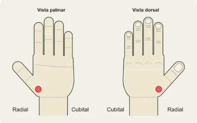 Rizartrosis (artrosis de la base del pulgar) en escaladores